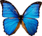 Kaz_Creations Butterfly - ücretsiz png animasyonlu GIF