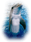 tube dauphin - png gratis GIF animasi