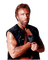 chuck norris - Free PNG Animated GIF