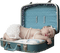Kaz_Creations Baby 👶 Enfant Child Girl Luggage - ilmainen png animoitu GIF