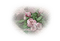 rose rose.Cheyenne63 - png gratuito GIF animata