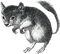 Skillet from 12 oz. Mouse - GIF animé gratuit
