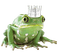fantasy frog crown - δωρεάν png κινούμενο GIF