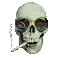 Tête de mort qui fume - Free animated GIF Animated GIF