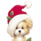 Kaz_Creations Animated Christmas Cute Dogs Dog Pup 🐶 - GIF animado gratis GIF animado