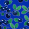 Blueberry Animated Background - GIF animé gratuit GIF animé