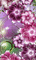 MMarcia gif flores fleur lilas rosa fundo - Free animated GIF Animated GIF