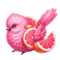 Pink Grapefruit Birb - zadarmo png animovaný GIF