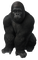 Kaz_Creations Gorilla - nemokama png animuotas GIF