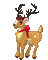 reindeer deer rentier renne fun animal christmas noel xmas weihnachten Navidad рождество natal tube gif anime animated animation