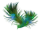 paon plumes peacock feather - δωρεάν png κινούμενο GIF