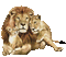 leone - GIF animate gratis GIF animata
