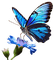 Mariposa en flor - png gratis GIF animasi
