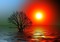 syksy  autumn  landscape  maisema  sun - png gratis GIF animasi