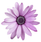 Kaz_Creations Deco Flower Purple