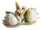 Kaz_Creations Deco Swans Swan  Colours - gratis png geanimeerde GIF
