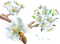 loly33 fleur abeille - kostenlos png Animiertes GIF