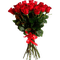 троянди - png gratis GIF animado