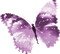Y.A.M._Fantasy Butterfly purple - Darmowy animowany GIF animowany gif
