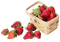 obst - Free PNG Animated GIF