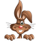 easter bunny lapin pâques - kostenlos png Animiertes GIF