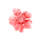 kikkapink deco love valentine pink flower - PNG gratuit GIF animé