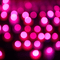 Pois Fuchsia - By StormGalaxy05 - δωρεάν png κινούμενο GIF