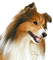 dog by nataliplus - ücretsiz png animasyonlu GIF
