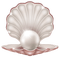 pearl shell bp