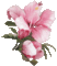 Fleurs rose - Zdarma animovaný GIF animovaný GIF