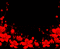 red flowers black background - Бесплатни анимирани ГИФ анимирани ГИФ