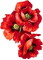 soave deco flowers poppy red