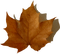 Brown Leaf-RM - zdarma png animovaný GIF