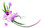 Fleur*kn* - PNG gratuit GIF animé