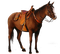 caballo - bezmaksas png animēts GIF