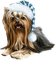 Kaz_Creations Christmas Dog Pup Dogs Colours - png gratis GIF animasi