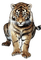 Tigre - Kostenlose animierte GIFs