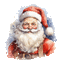 le père Noël Santa Claus - Безплатен анимиран GIF анимиран GIF