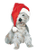 Kaz_Creations Dogs Dog Chien Noel - gratis png geanimeerde GIF
