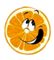 orange by nataliplus - Free PNG Animated GIF