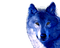 Kaz_Creations Wolf-Colours - ilmainen png animoitu GIF