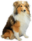 Hond - 無料png アニメーションGIF