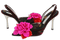 Kaz_Creations Shoes Shoe Deco - 免费PNG 动画 GIF