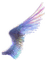 крыльягуля - бесплатно png анимированный гифка