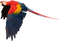Kaz_Creations Birds Bird Parrot - nemokama png animuotas GIF