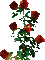 Nina flower - Bezmaksas animēts GIF animēts GIF
