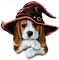 Dog Puppy Chien Halloween Witch - Free PNG Animated GIF