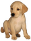puppy - kostenlos png Animiertes GIF