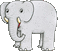 Elephant - Zdarma animovaný GIF animovaný GIF