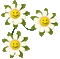 Flores felices - GIF animé gratuit